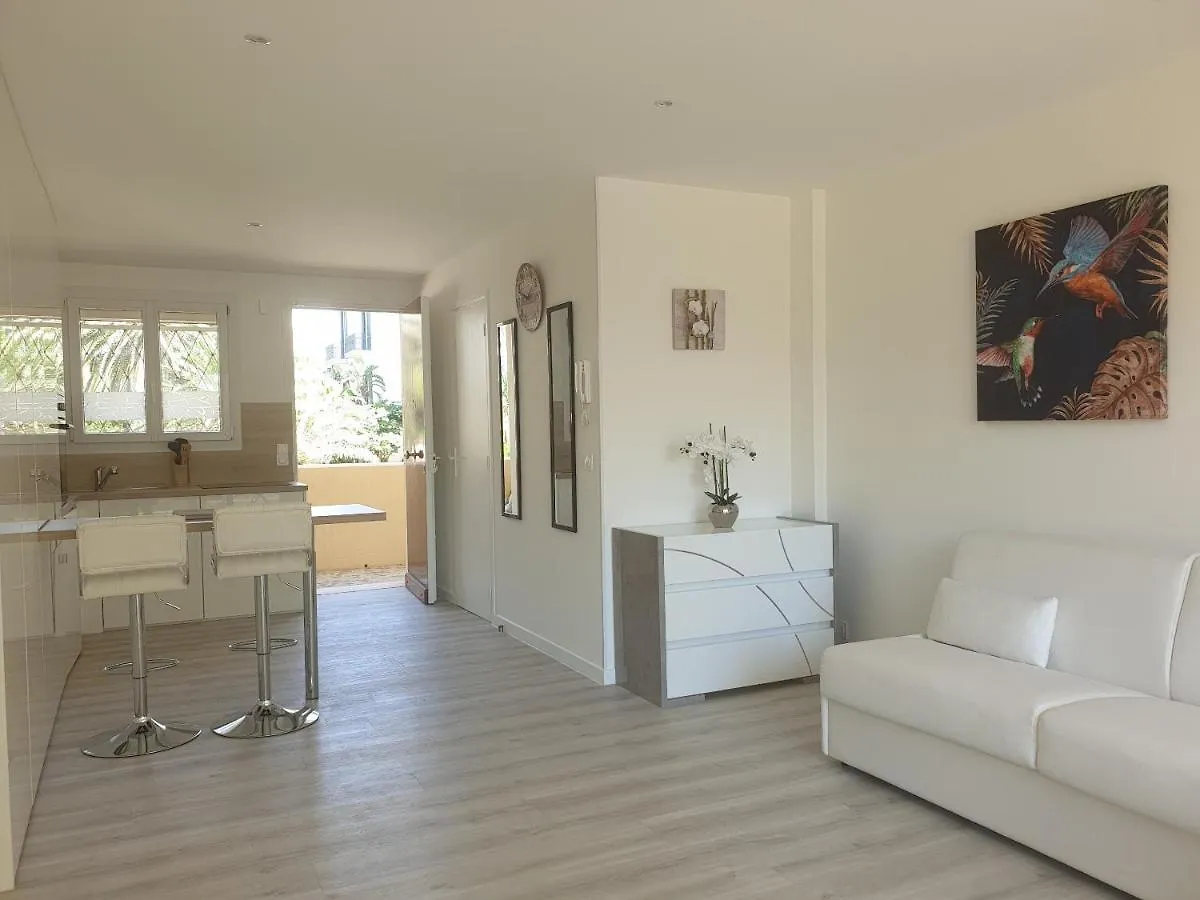 Studio Les Algues Cannes Apartment