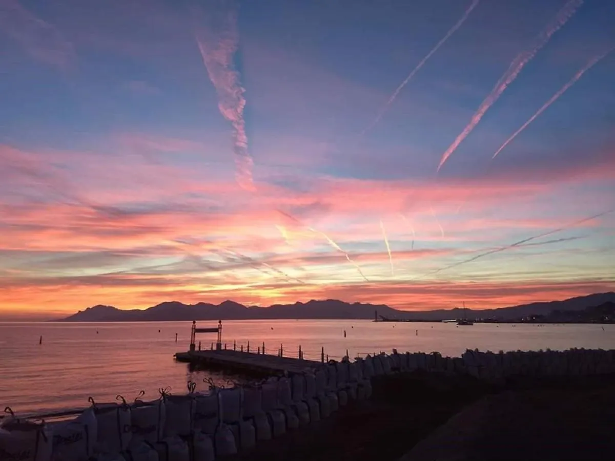 Apartment Studio Les Algues Cannes